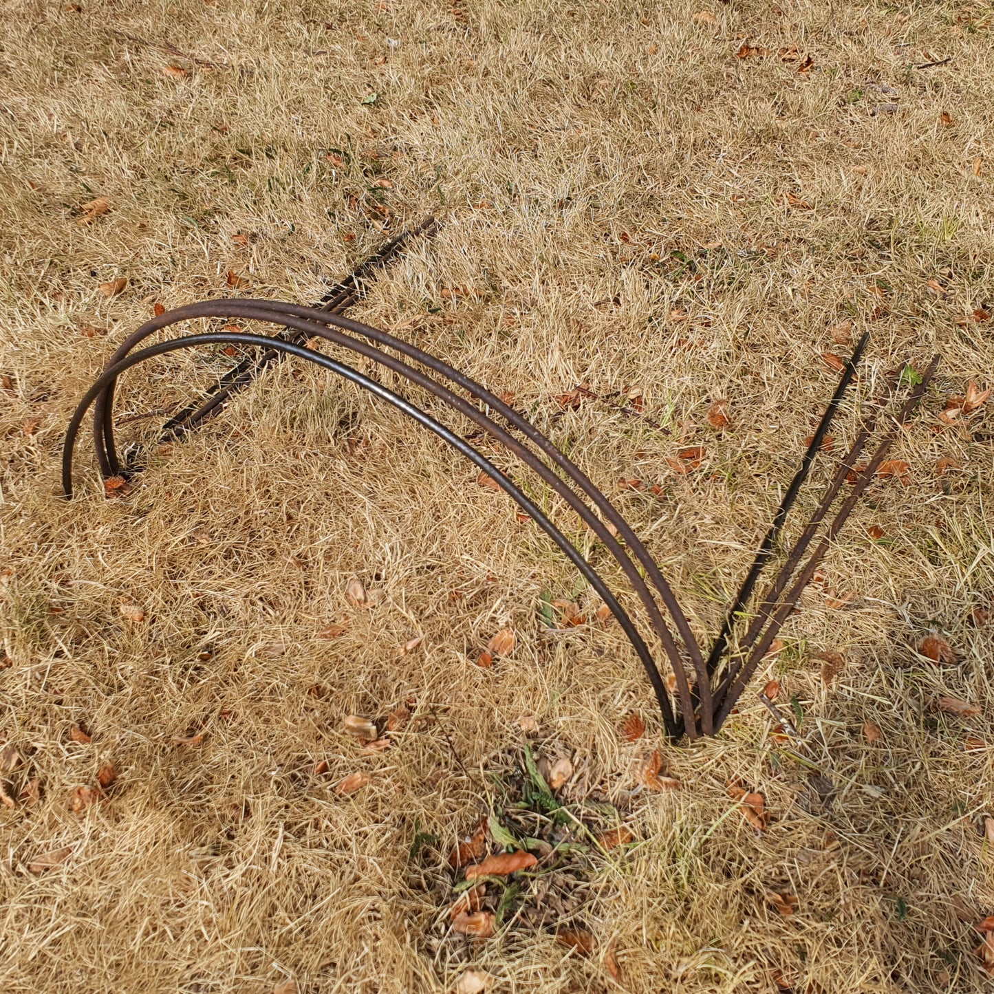 Handcrafted Steel Plant Support Hoops, Rustic Patina